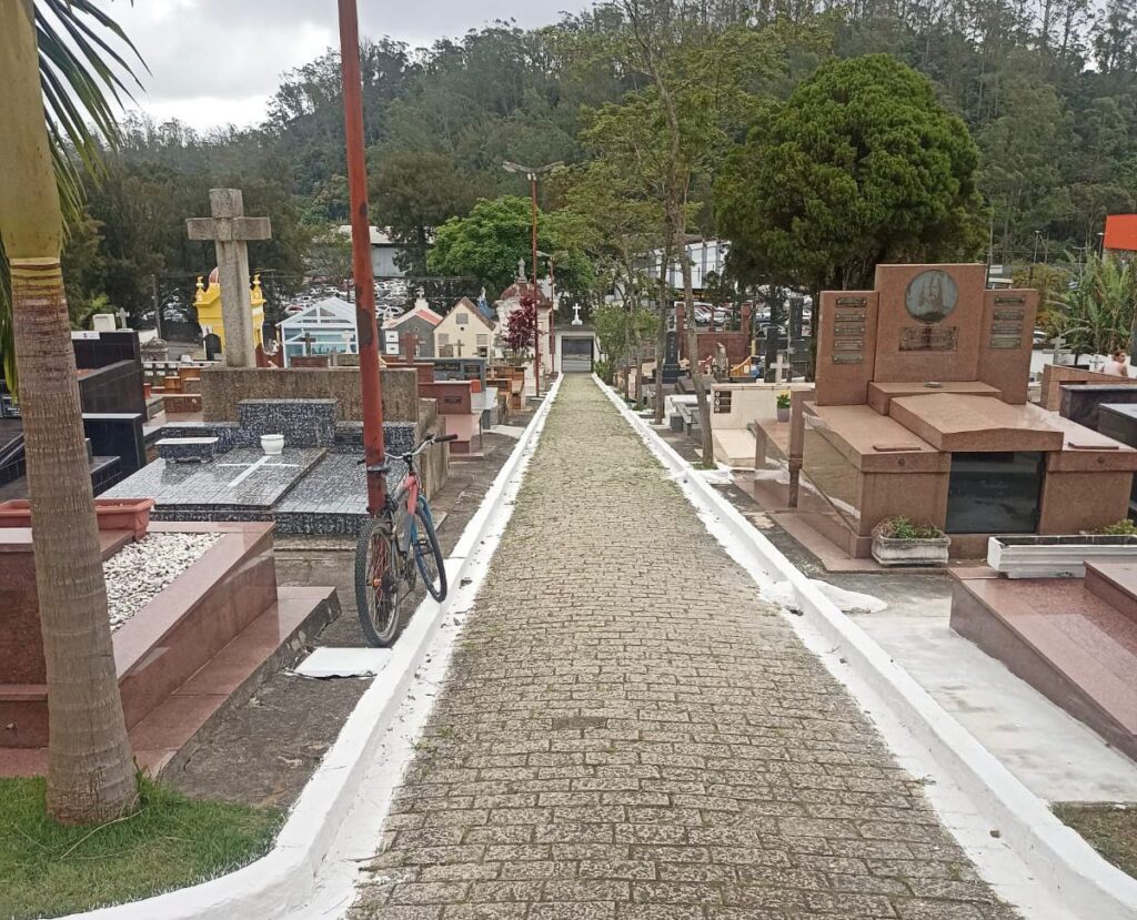 imagem da noticia