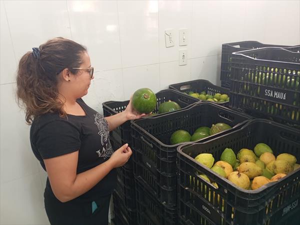imagem da noticia
