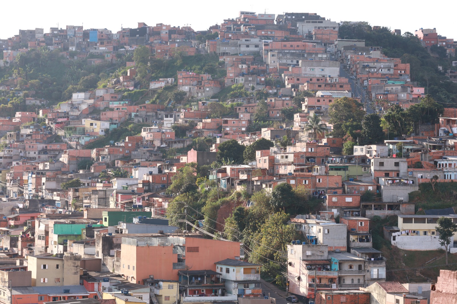 imagem da noticia