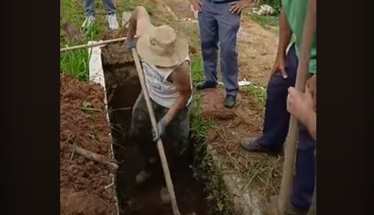 imagem da noticia