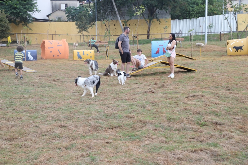 imagem da noticia